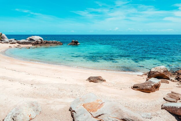 Plage tropicale et mer bleue en été