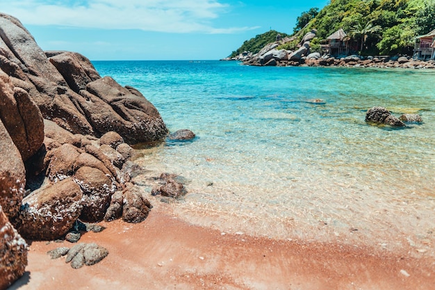 Plage tropicale et mer bleue en été