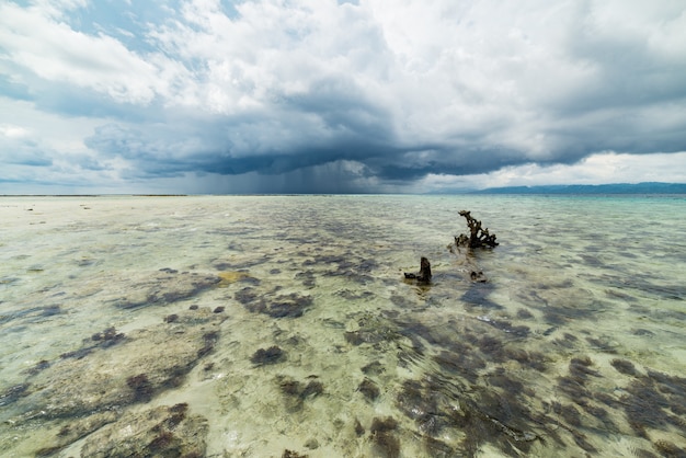 Plage tropicale, mer des Caraïbes, eau turquoise transparente, îles Togean Indonésie.