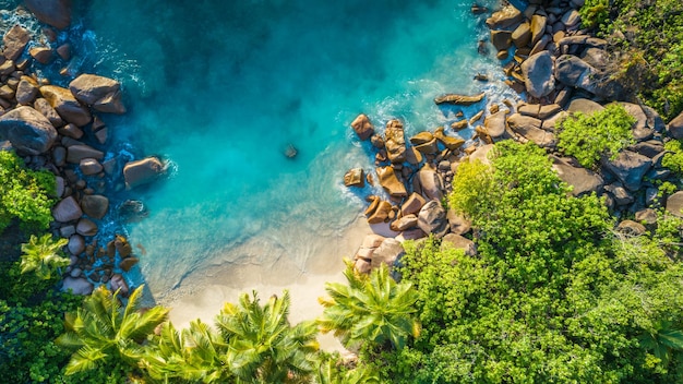 Plage tropicale avec mer et palmiers prise d'un drone Seychelles célèbre photo aérienne de la plage des requins