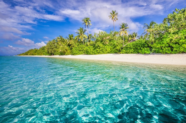 Plage tropicale de l'océan des îles Maldives. Lagon marin exotique, palmiers sur sable blanc. Nature idyllique