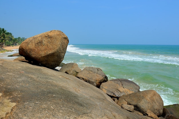 Plage tropicale avec palmier sur une île exotique