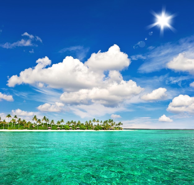 Plage tropicale avec palmiers et ciel bleu ensoleillé