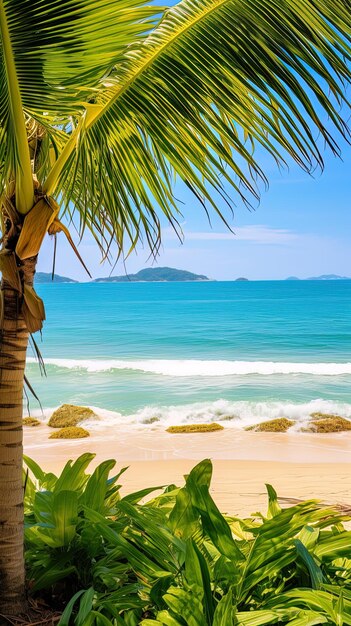 une plage tropicale avec des palmiers et un ciel bleu