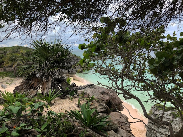 plage tropicale avec des palmiers et de l'eau turquoise à Okinawa