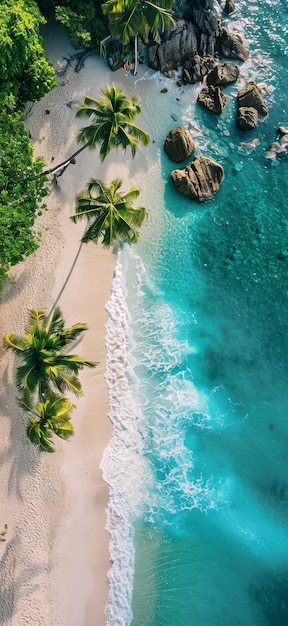 Photo une plage tropicale avec des palmiers et de l'eau turquoise