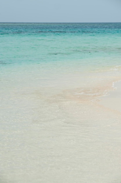 Photo plage tropicale avec palmiers lors d'une journée ensoleillée guna yala comarca panama