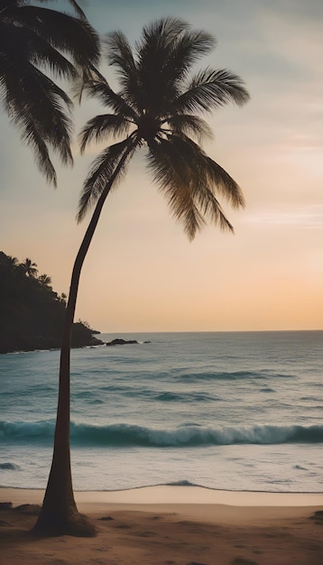 Photo plage tropicale avec des palmiers à noix de coco au coucher du soleil seychelles