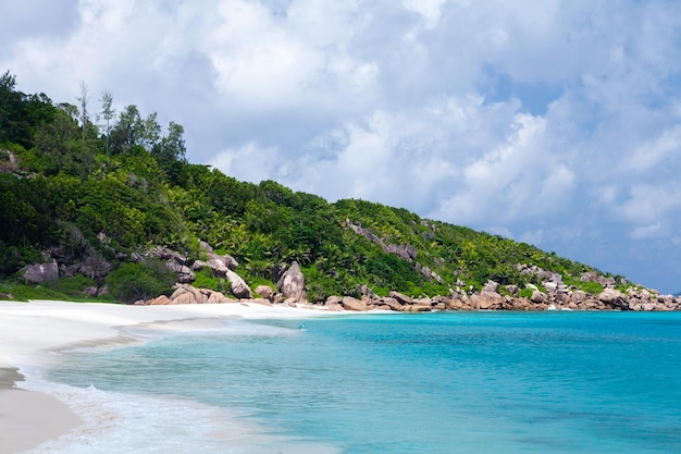 plage tropicale avec palmiers