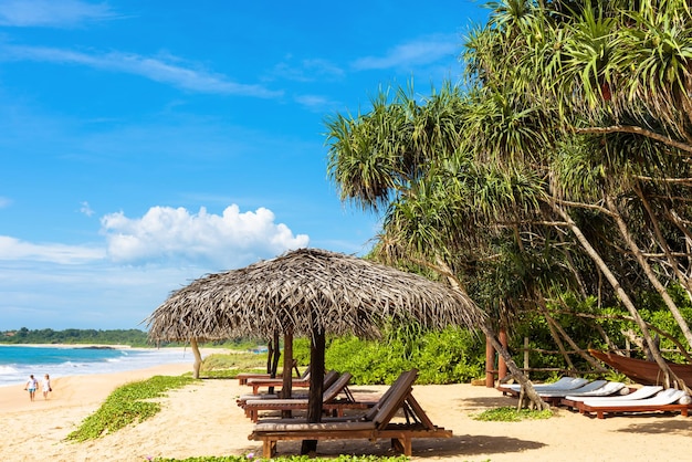 Plage tropicale avec parasols et lits de plage d'hôtel