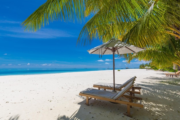 Plage tropicale parfaite Paysage d'été avec chaises et parasol sur le sable blanc près du ciel bleu de la mer