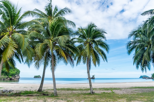 Plage tropicale et sable blanc en été avec palmiers et ciel bleu clair