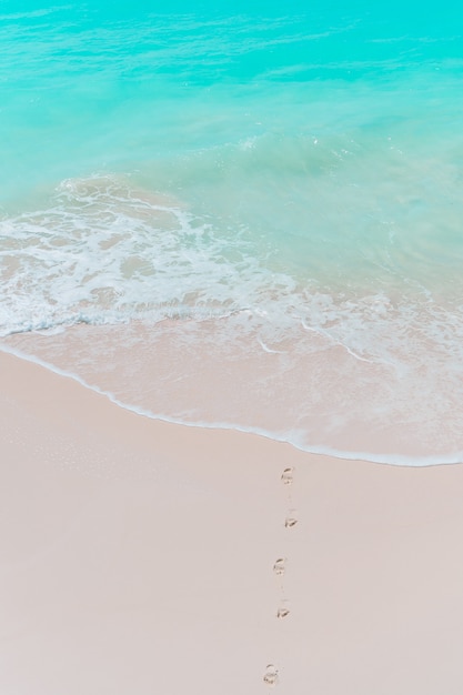 Plage tropicale avec sable blanc en été