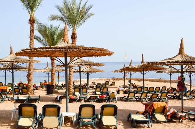 Plage tropicale de sable en vacances un complexe tropical avec transats, chaises longues et parasols