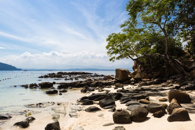 Plage tropicale sablonneuse avec de grosses pierres grises