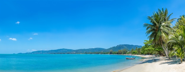 Plage tropicale à Samui