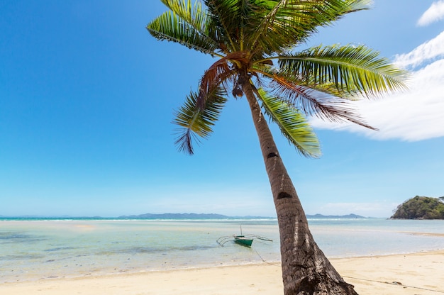 Plage tropicale sérénité