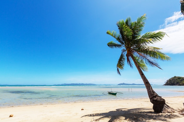 Plage tropicale sérénité