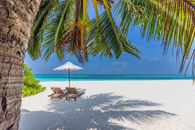 Plage tropicale tranquille. Le sable blanc et les feuilles de palmier coco voyagent en tourisme. Deux chaises avec nuageux