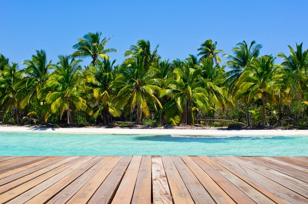 Plage tropicale avec vague de mer sur le sable et les palmiers