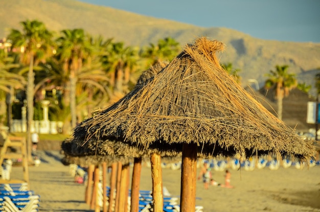 Plage tropicale vide dans les îles Canaries