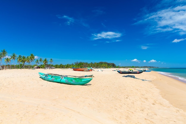 Plage tropicale vierge au Sri Lanka