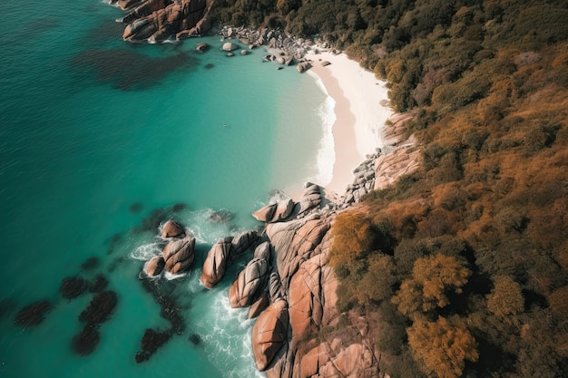 Plage tropicale vue d'en haut Belle mer bleue avec des arbres verts luxuriants Generative AI