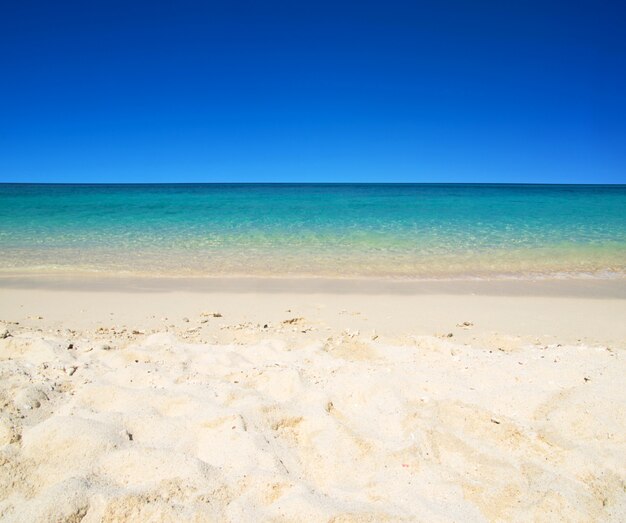 Plage tropicale avec vue sur la mer