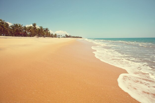 Plage tropicale