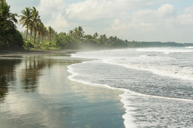 Plage tropicale