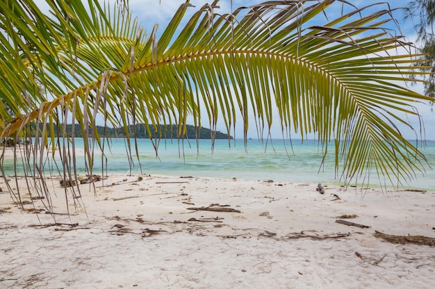 Plage tropicale