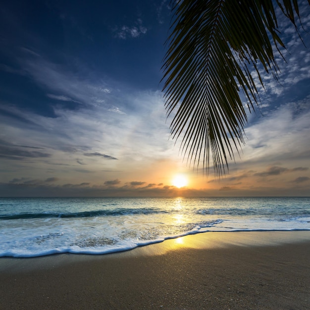 Plage tropicale