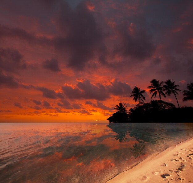 Plage tropicale