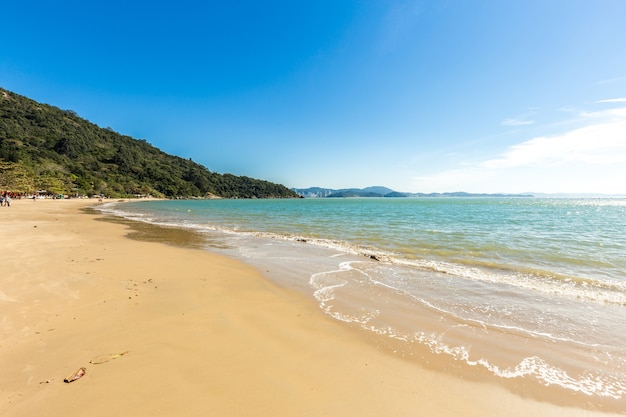 Plage tropicale