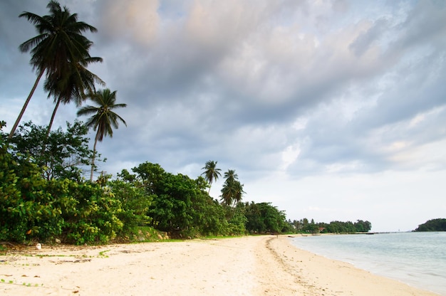 Plage tropicale