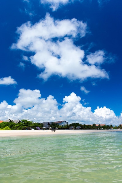 Plage tropicale