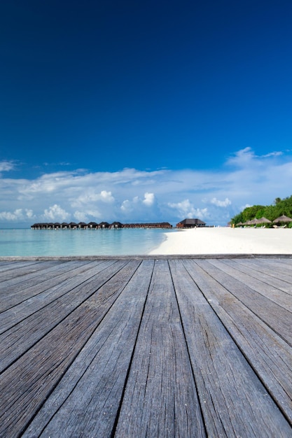 Photo plage tropicale