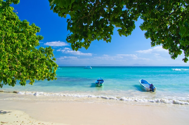 Photo plage tropicale