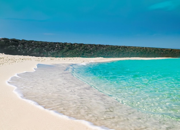 Plage de vacances d'été