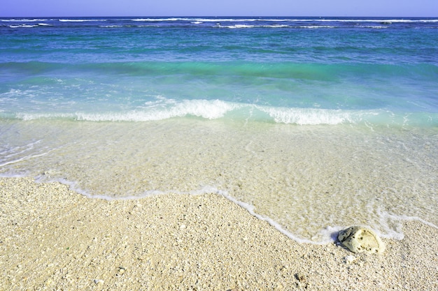 Plage avec vague