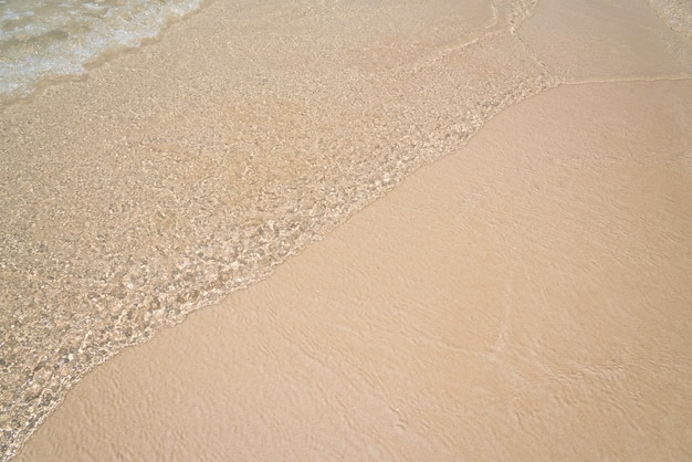 La plage avec des vagues de la mer.