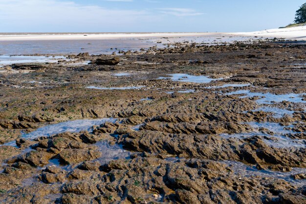 Plage vide où des formations rocheuses peuvent être vues sur le rivage de la plage Kiyu San Jose Uruguay