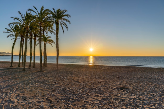 Plage de la ville de Villajoyosa avec palmiers au lever du soleil