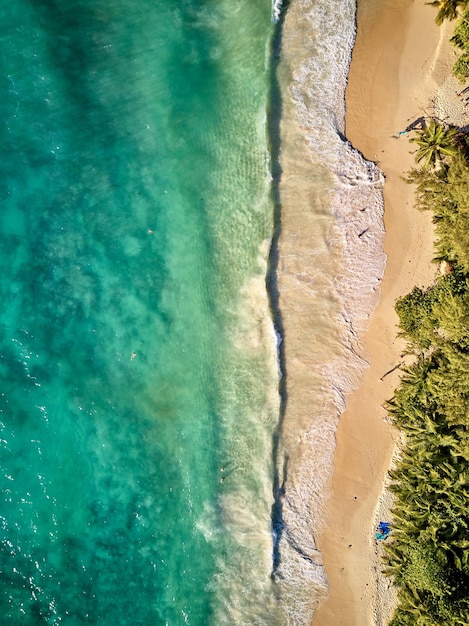 Plage à la vue aérienne de dessus des Seychelles