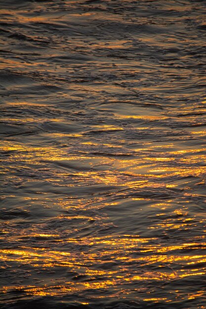 Photo les plages d'oaxaca