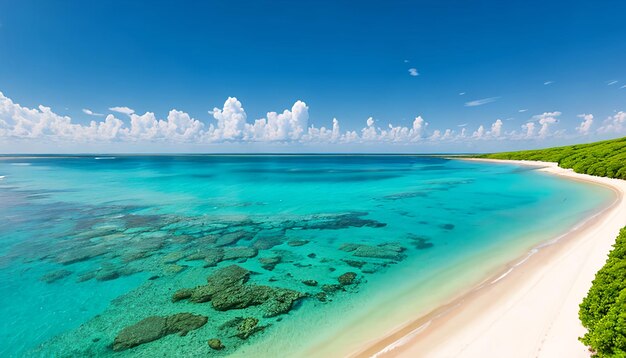 plages et récifs en été