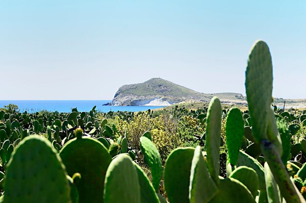 Les plages de San José à Almeria