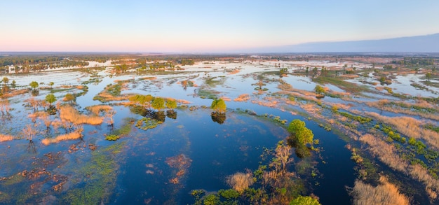 Photo plaine inondable de la rivière prypiac lors du débordement printanier