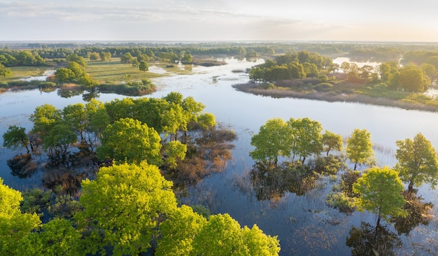 Photo plaine inondable de la rivière prypiac lors du débordement printanier