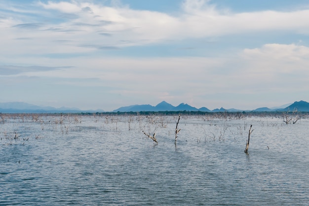 Plaine inondée. Le paysage du vaste territoire inondé d'eau.